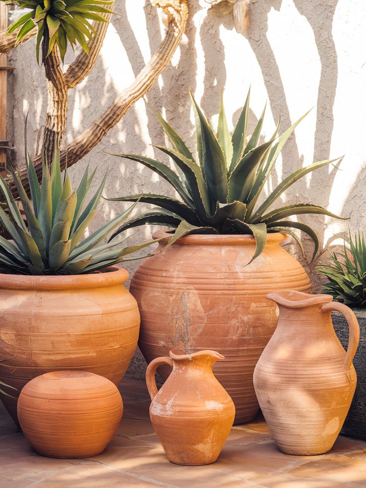 A Guide to Barro Rojo: Authentic Red Clay Pottery Casa Maria